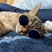 ☺︎hl☺︎の画像