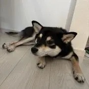 かんちーの画像