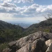 T.mountainsの画像