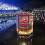 Crazyの画像