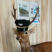 みるみるくの画像