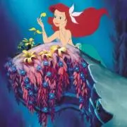 Arielの画像