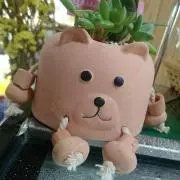 ma*(断捨離中)の画像