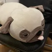 ボブの画像