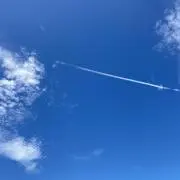 みるくの画像