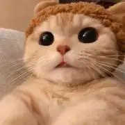 チェリ