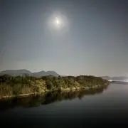 ぎょどんの画像