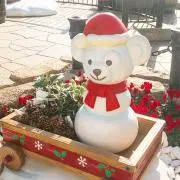 yummyの画像