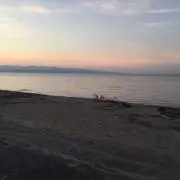 さかの画像