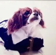 くるみの画像