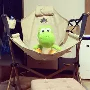 かめれおんの画像