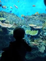 子育てブログの画像