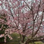 myの画像