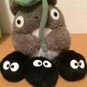 はる♡