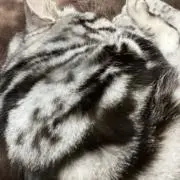 bby--°°883//の画像