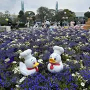 Disney.の画像
