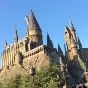 HALの画像