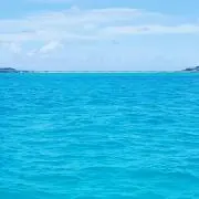 Maichの画像