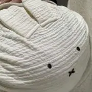 masの画像
