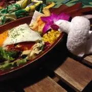 はやね