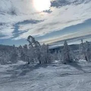 Gの画像