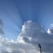 ふくの画像