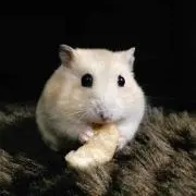 ジュリ☆の画像