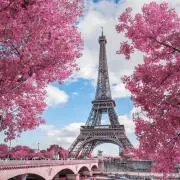 RosePinkの画像