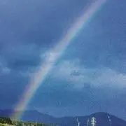 ゆうゆ