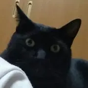 こころんの画像