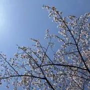mu ＊プロフ必読の画像