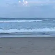 KYの画像