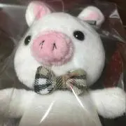 ポポロン