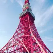 ⭐︎断捨離中⭐︎bytamagonの画像