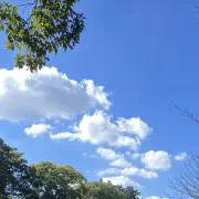 1 7の画像