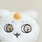 noko.の画像