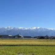 ちゃーの画像