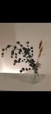 aki タイムセール中✨の画像