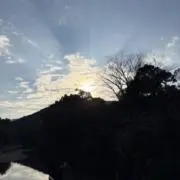 kotokotoの画像