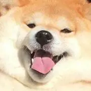 芋餅