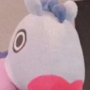 ぴの画像