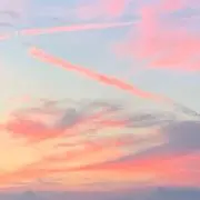 ゆにの画像