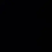 ジャンクの画像