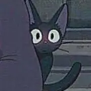 ぴろの画像