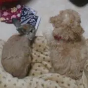 ☆じゅん☆