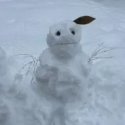 ちゃむ
