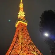 【TWICE多数出品.まとめ割】mの画像