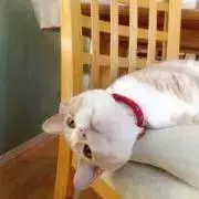 りんこ〜断捨離中〜の画像