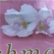 パンケーキ