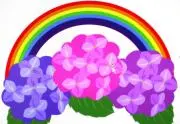 虹色紫陽花の画像